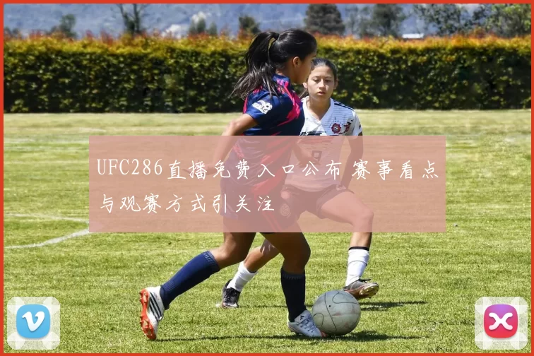 UFC286直播免费入口公布 赛事看点与观赛方式引关注