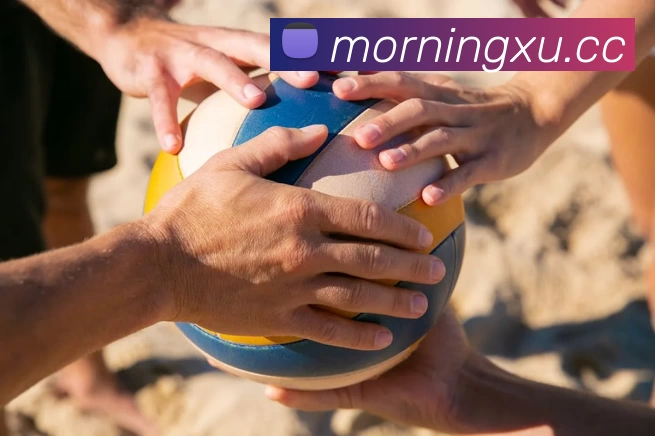 开云手机站登录入口 - 开云online(中国)平台生态图